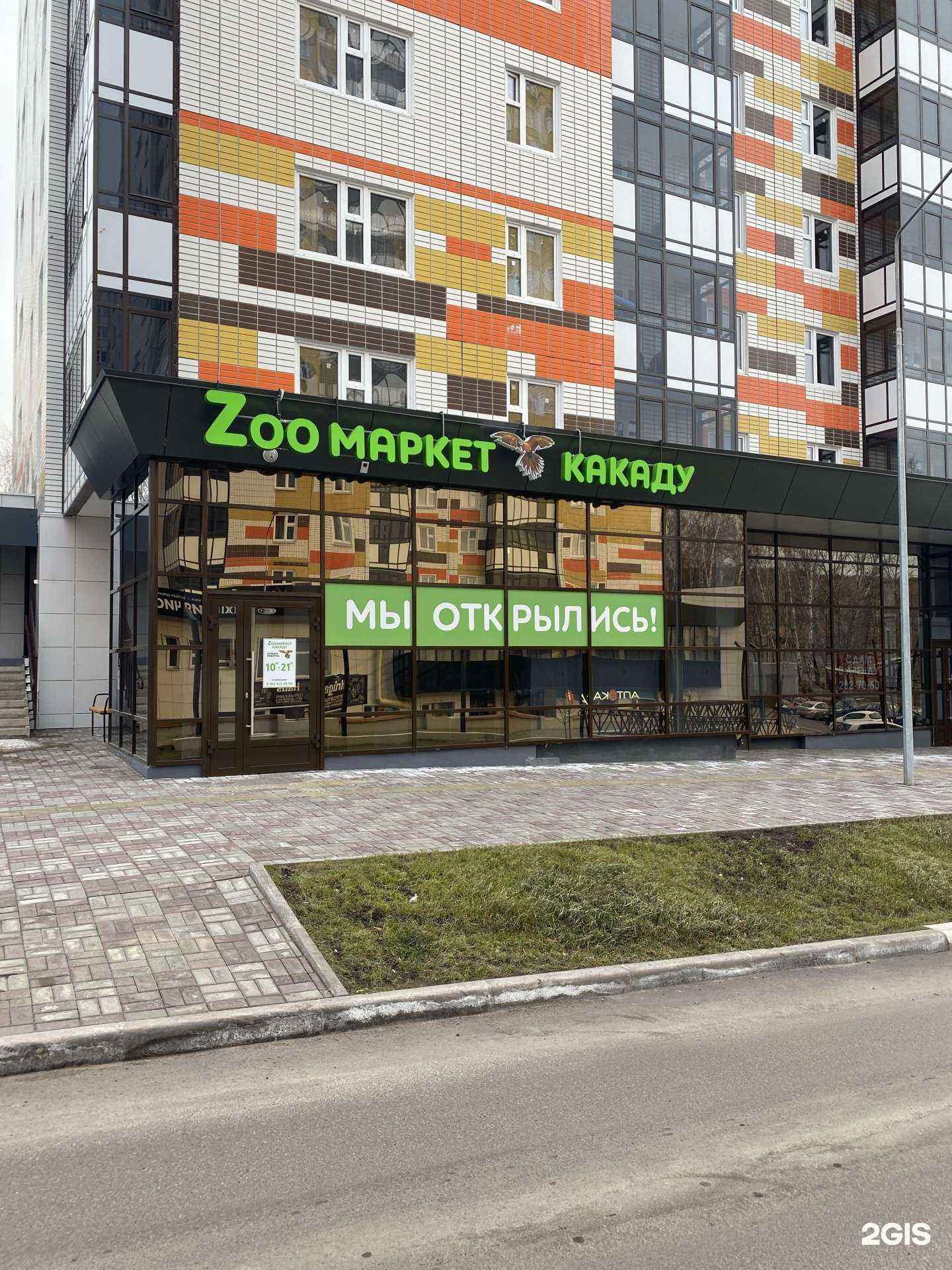 Отзывы на компанию Какаду в г. Красноярск c фото