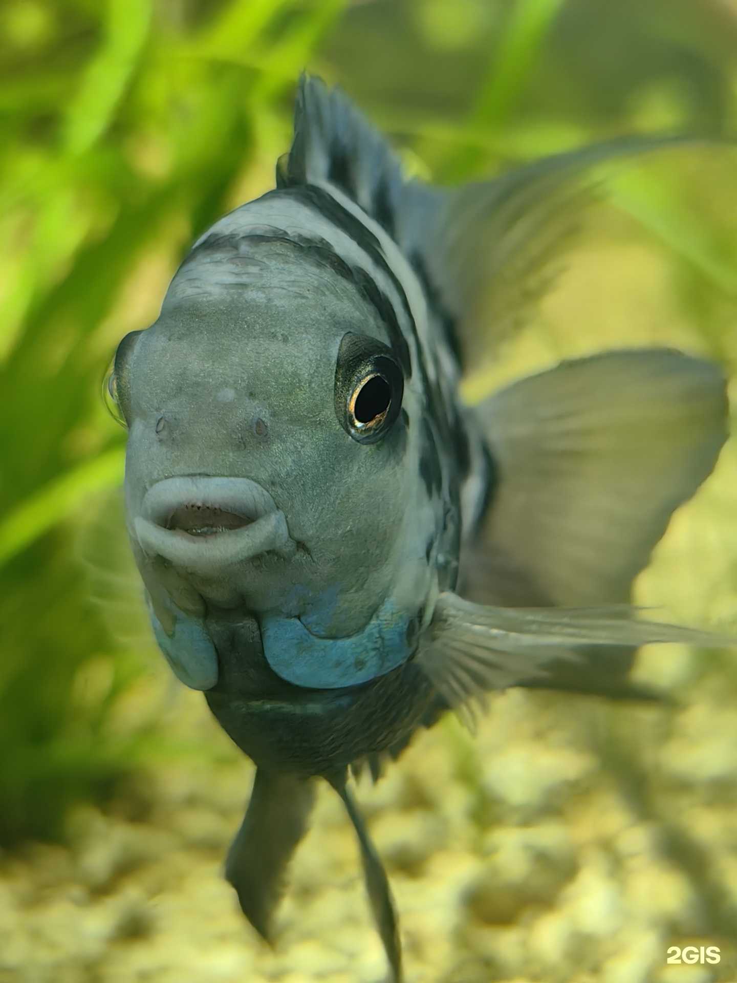 Отзывы на компанию Oda в г. Балашиха c фото