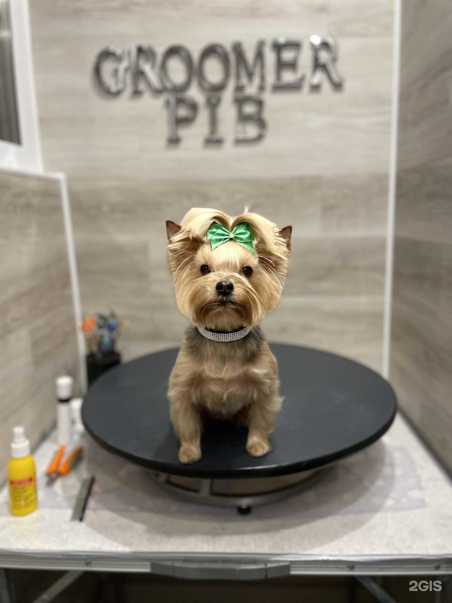 Отзывы на компанию GroomerPib в Оренбурге c фото