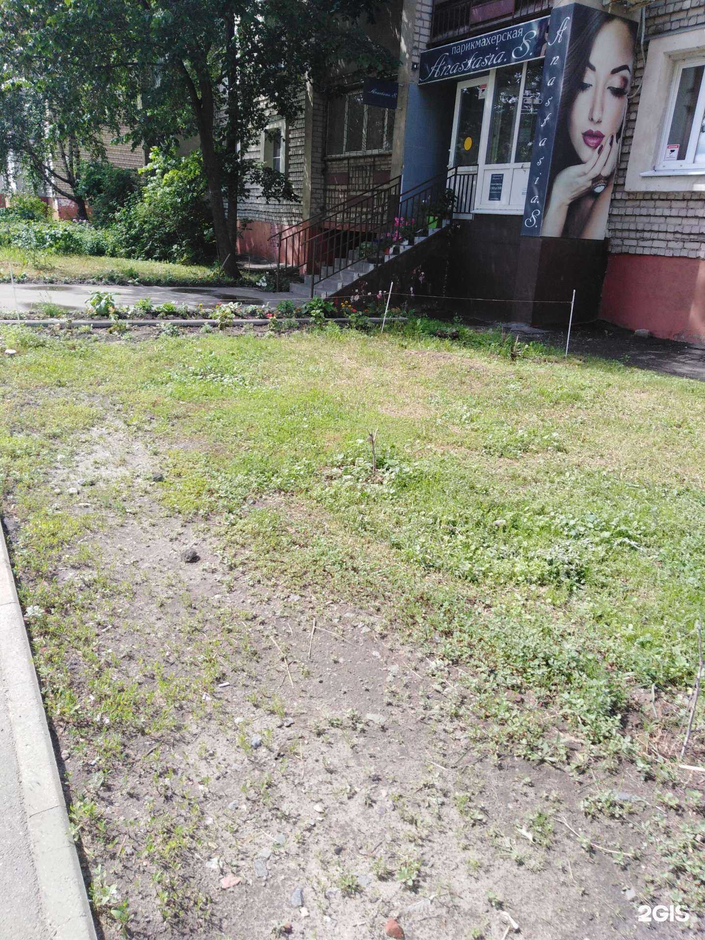 Отзывы на компанию Anastasia.S в г. Тамбов c фото