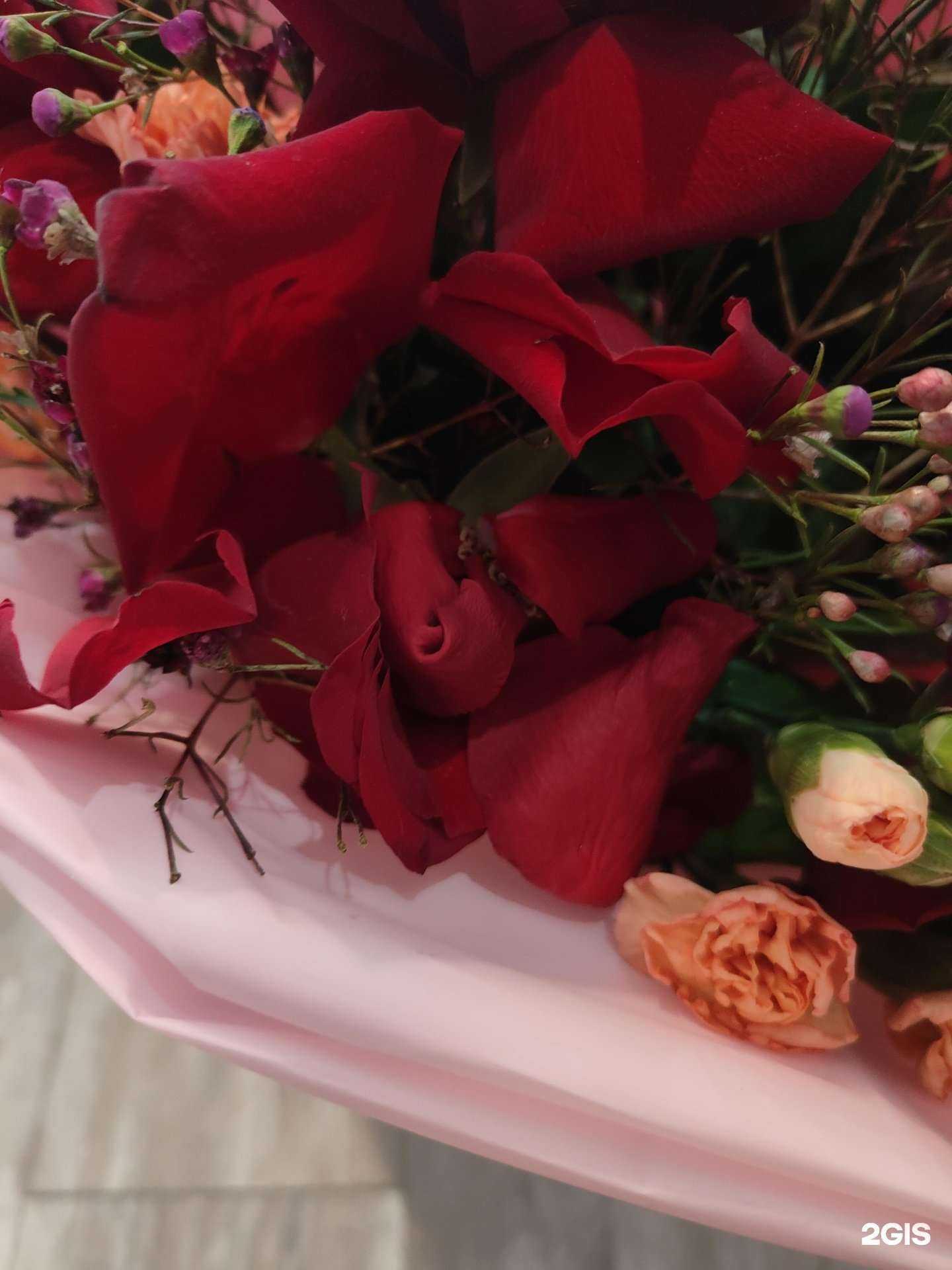 Отзывы на компанию Шапокляк в Ростове-на-Дону c фото