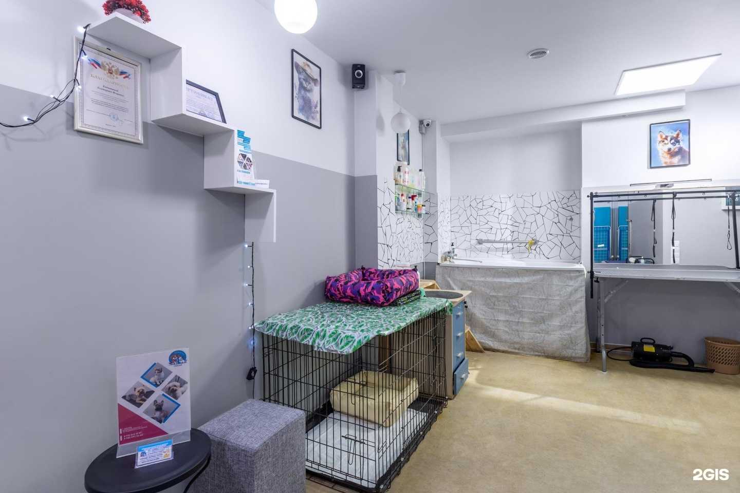 Отзывы на компанию Oskar в Воронеже c фото