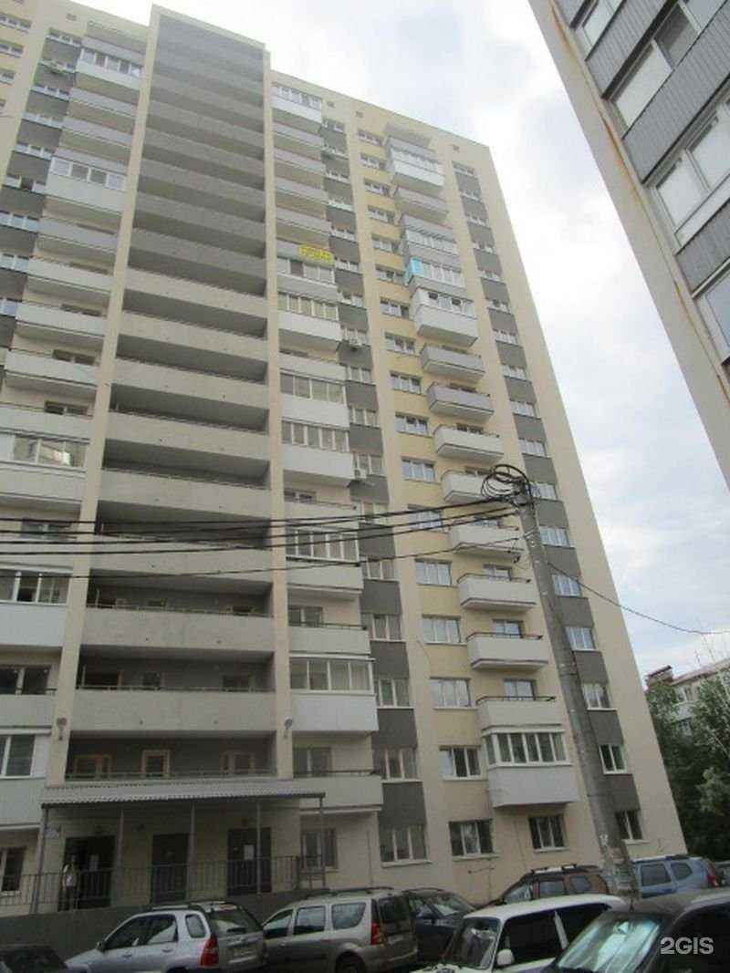 Отзывы на компанию Ель в г. Самара c фото