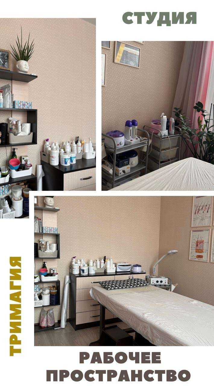 Отзывы на компанию Treemagic в Кемерове c фото