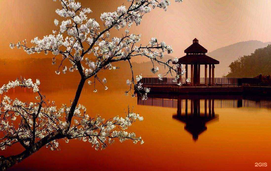 Отзывы на компанию Эффект в Орске c фото