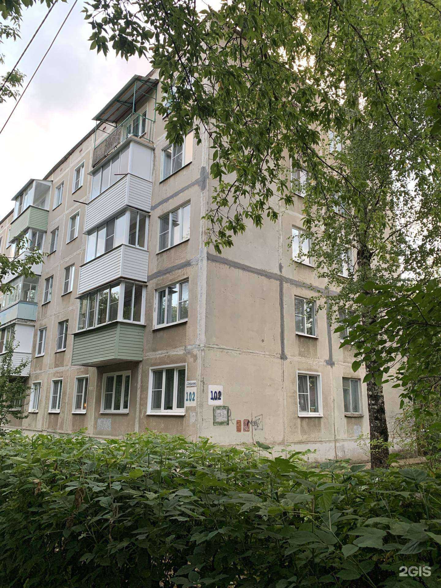 Отзывы на компанию ZooПульс в Шуи c фото