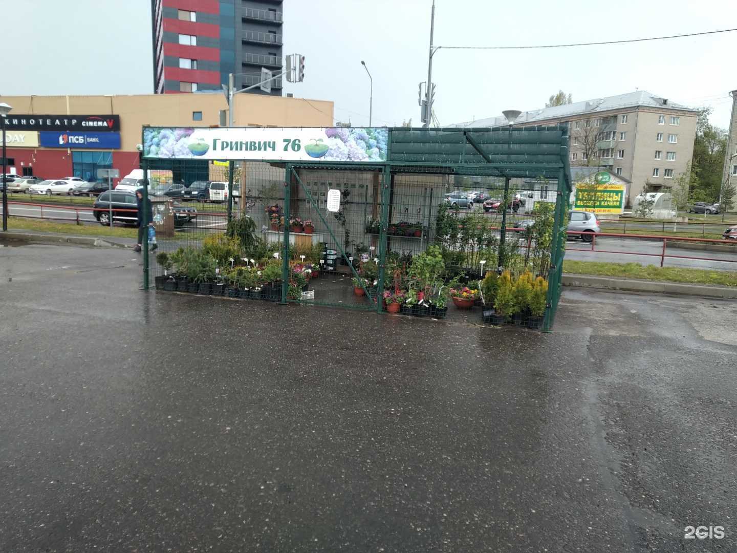 Отзывы на компанию Greenwich76 в г. Рыбинск c фото