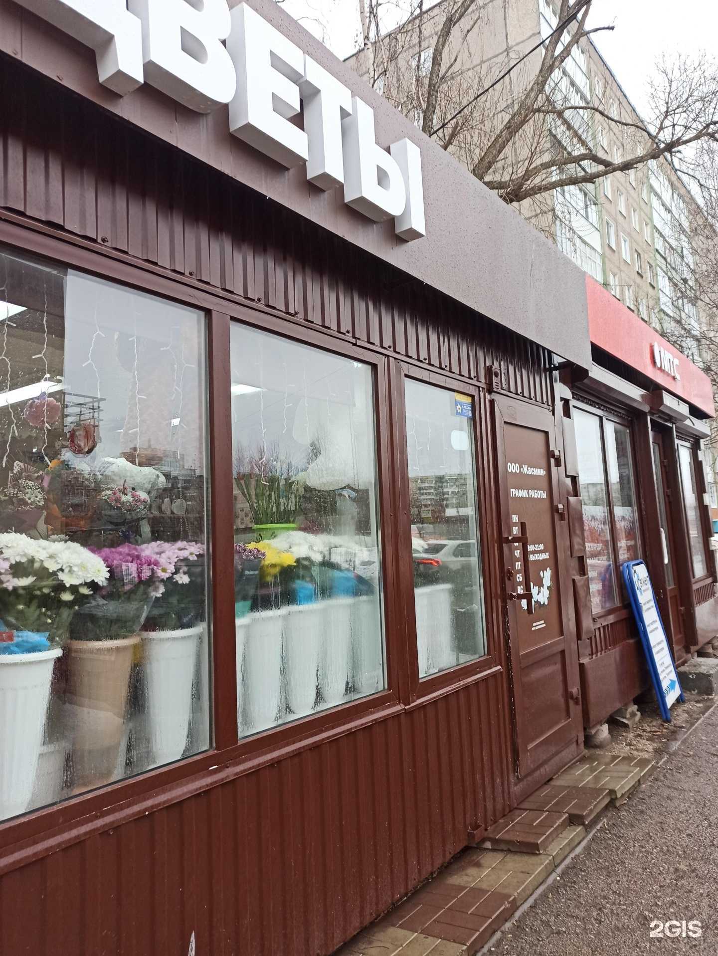 Отзывы на компанию Жасмин  в Перми c фото