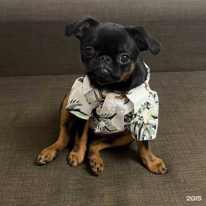 Отзывы на компанию Капибара в Стерлитамаке c фото