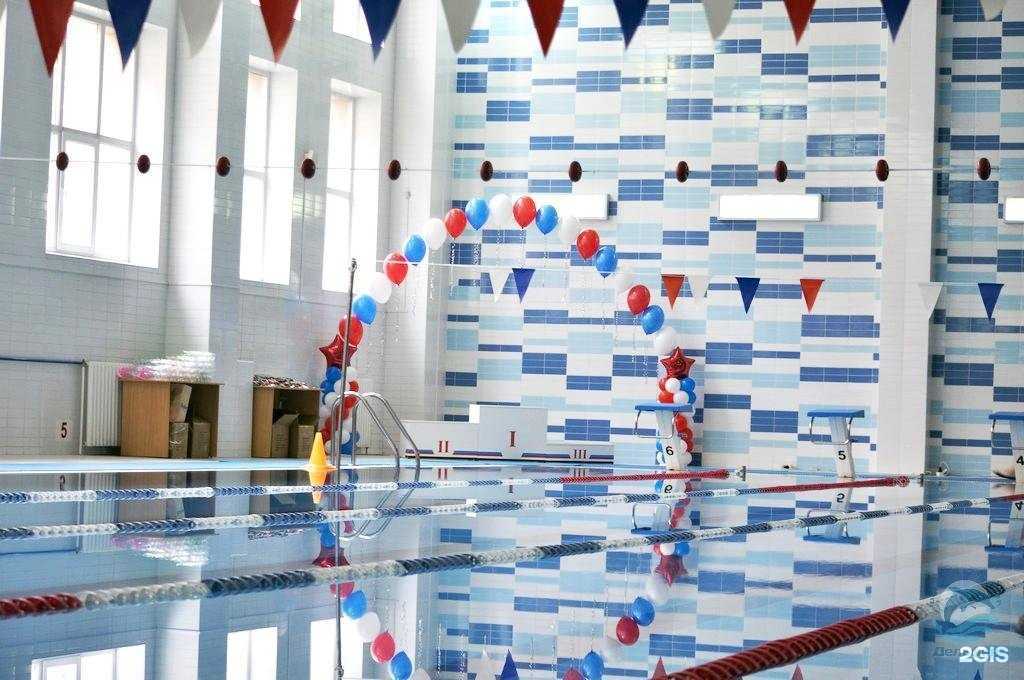 Отзывы на компанию Дельфин в Новосибирске c фото