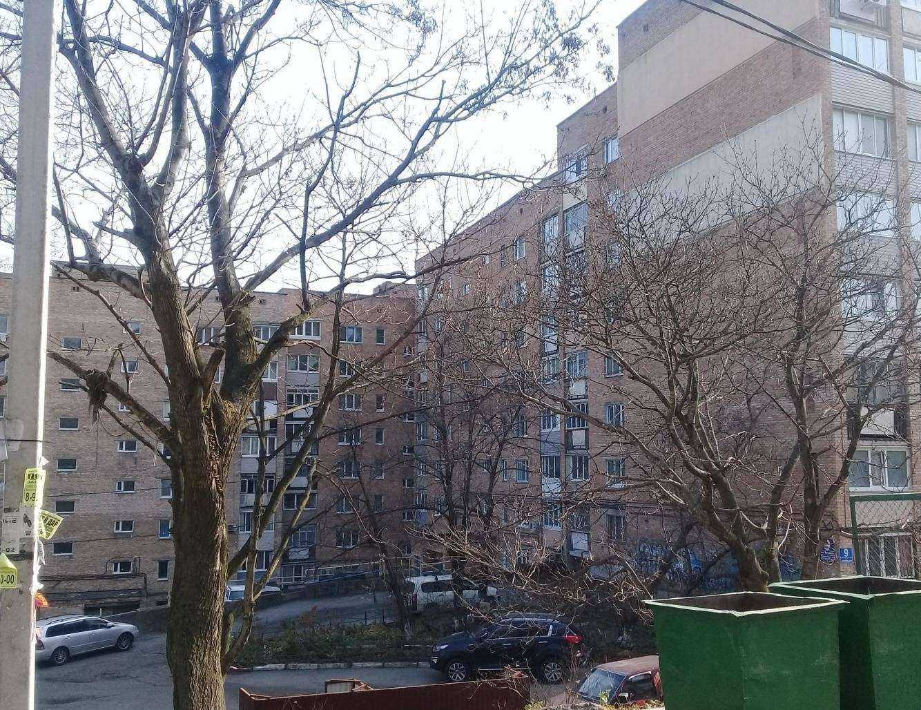 Отзывы на компанию Солнечная полянка в Владивостоке c фото - фотография 2 из 2