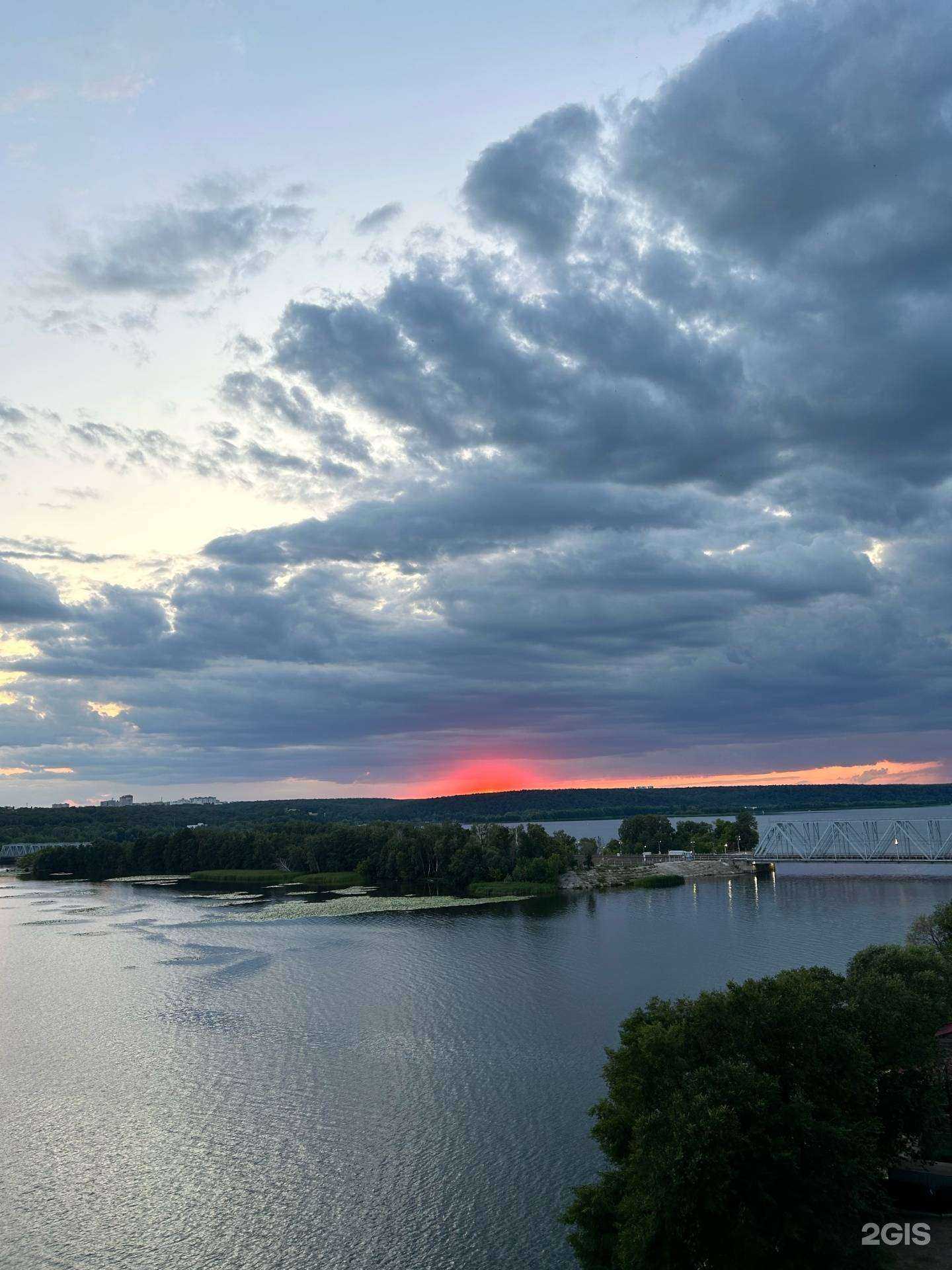 Отзывы на компанию Доктор Кусь в Воронеже c фото - фотография 2 из 2