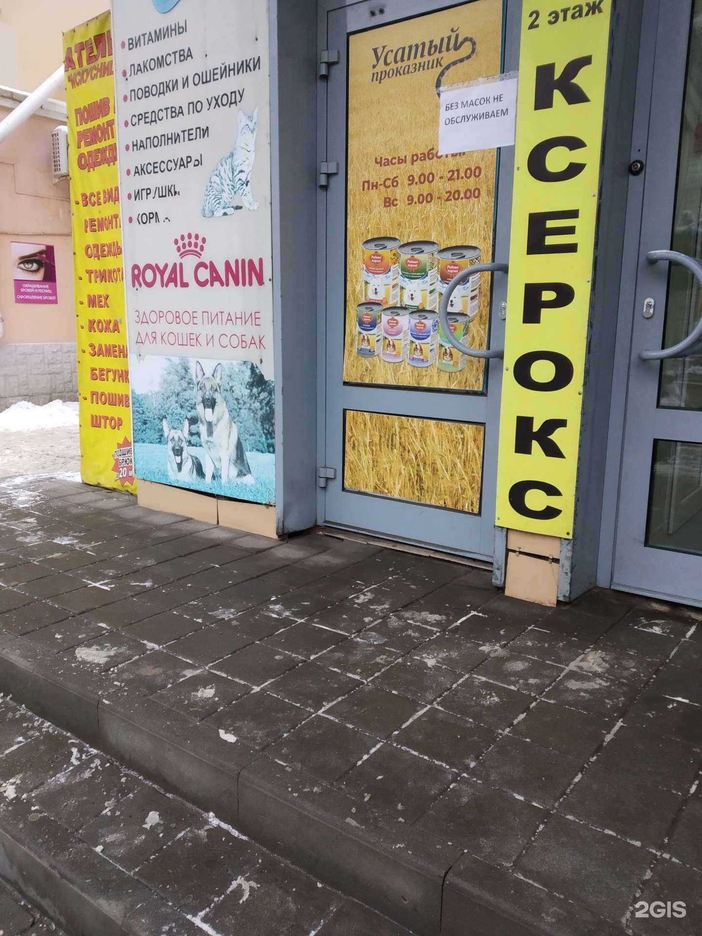 Отзывы на компанию Ушастый проказник в г. Тамбов c фото