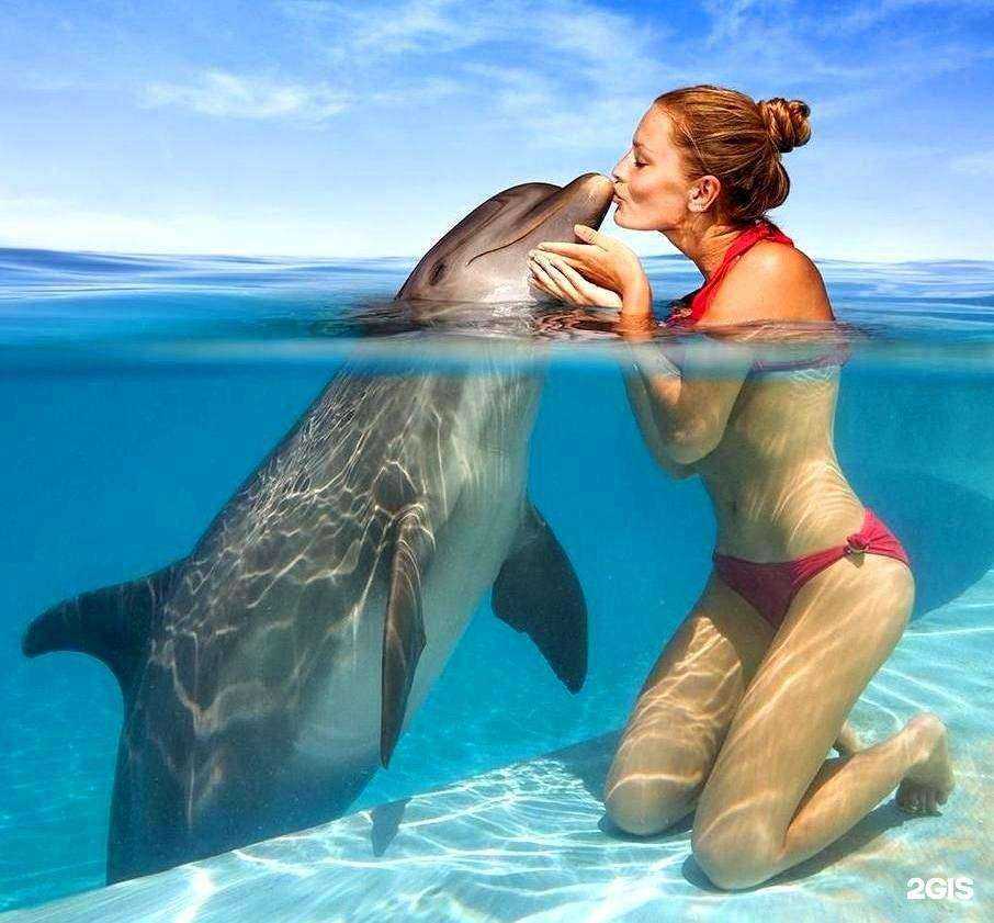 Отзывы на компанию Колизей в Сочи c фото