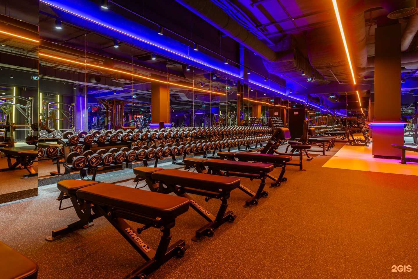 Отзывы на компанию DDX Fitness в Екатеринбурге c фото