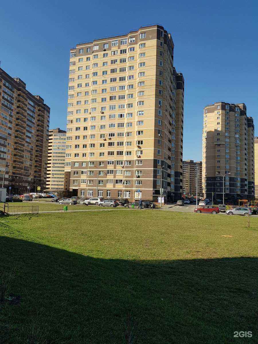 Отзывы на компанию Симург в Долгопрудном c фото - фотография 2 из 2