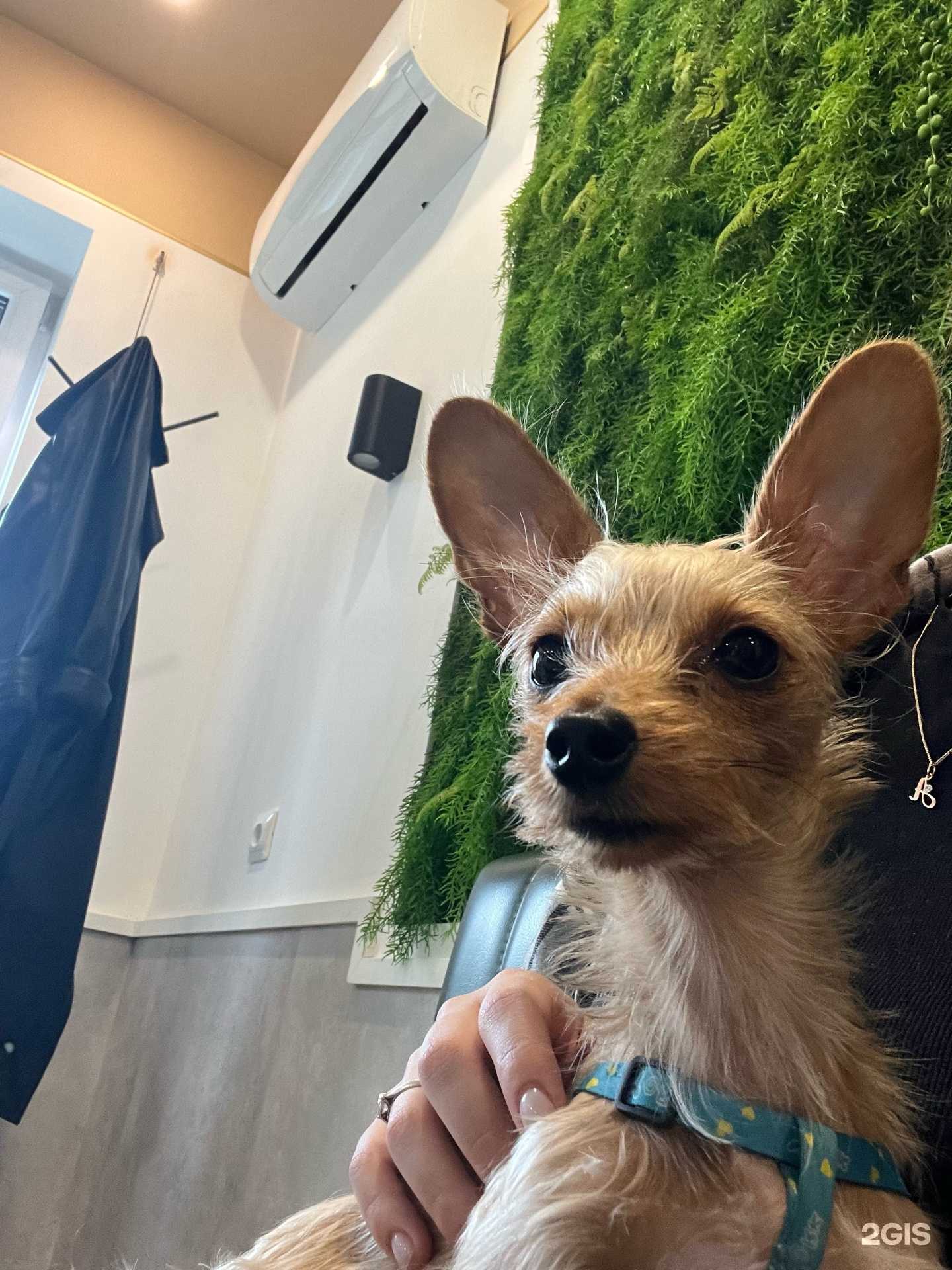 Отзывы на компанию Нова в г. Калининград c фото