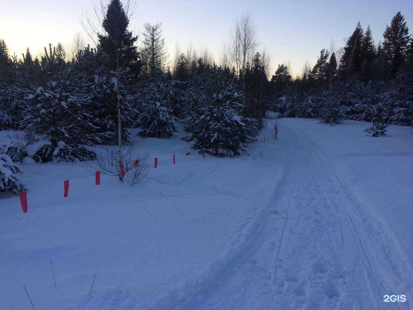 Отзывы на компанию Русский охотник в Смоленске c фото