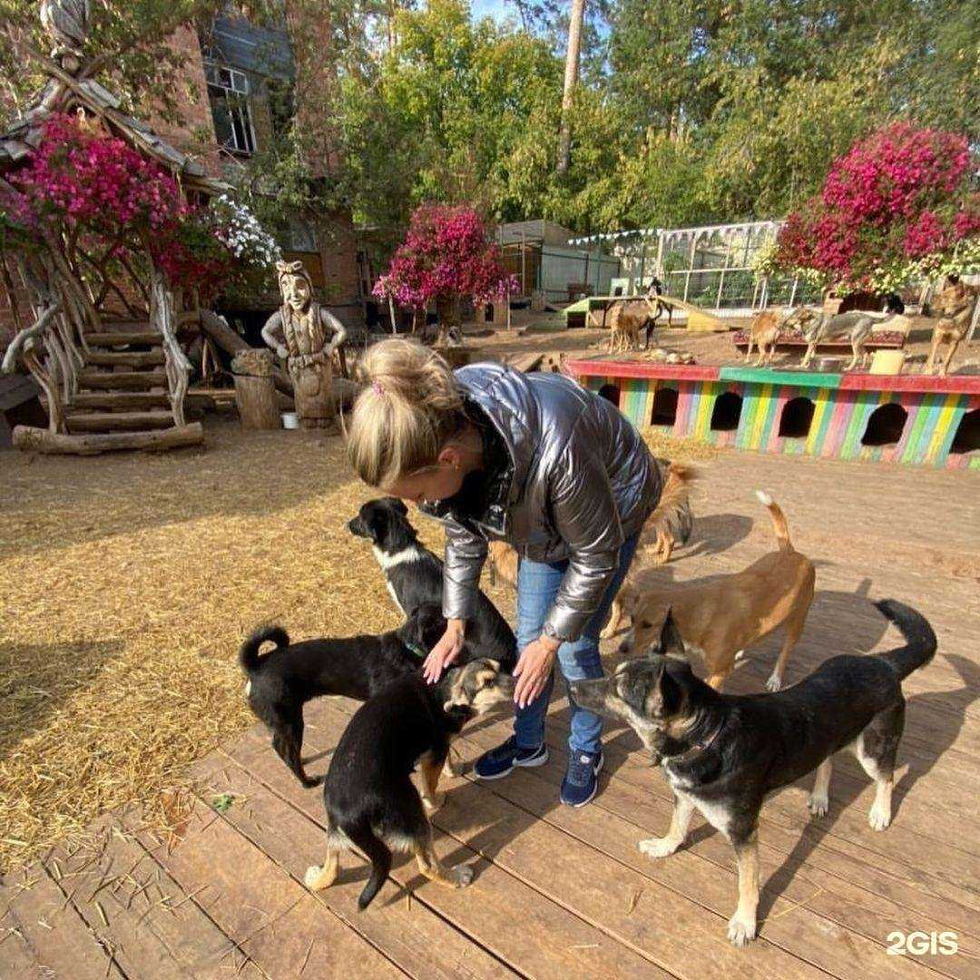 Отзывы на компанию Акронэксперт в Тольятти c фото