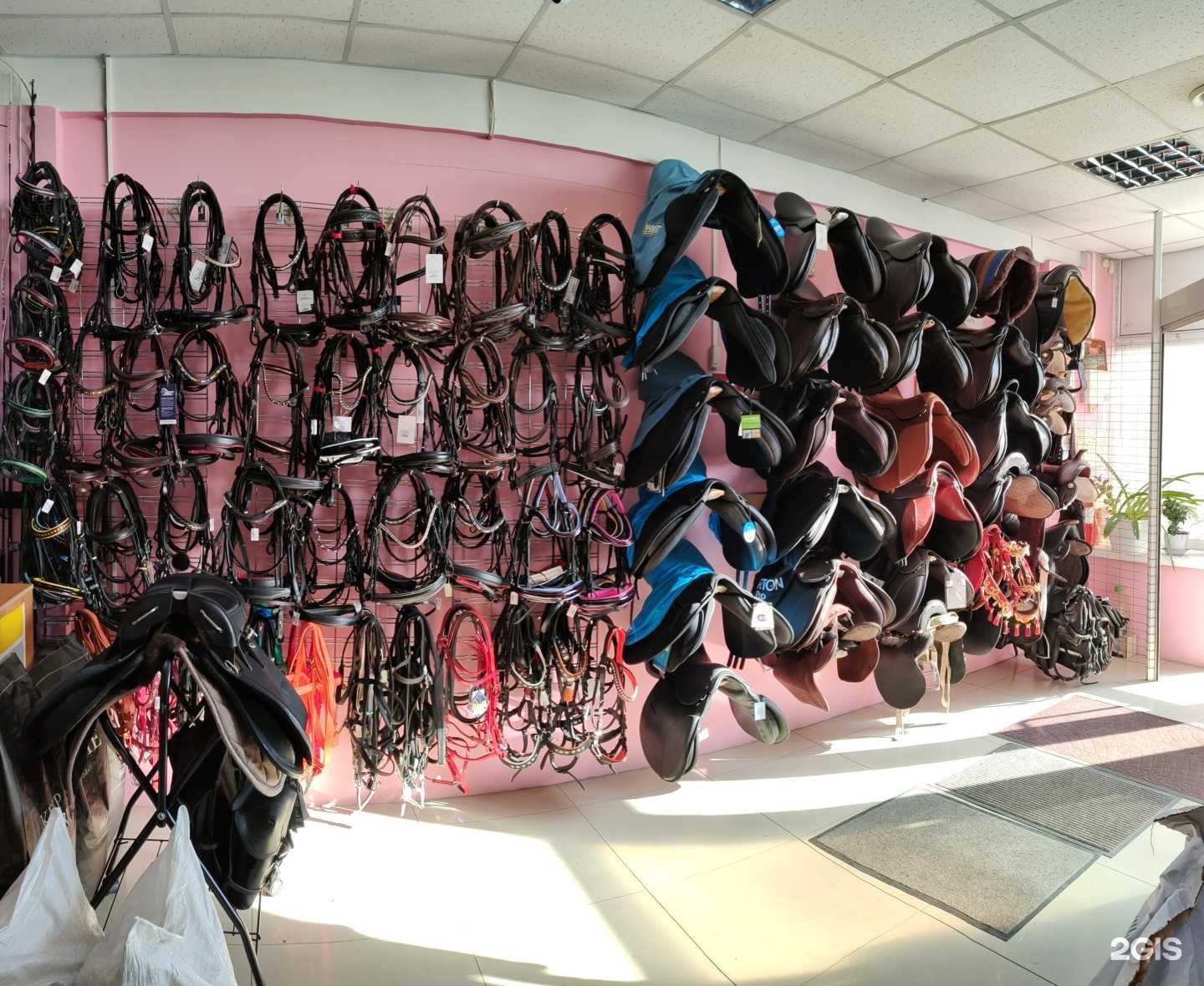 Отзывы на компанию Конный мир в Владивостоке c фото