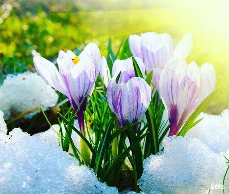 Отзывы на компанию Джинджер в Иркутске c фото