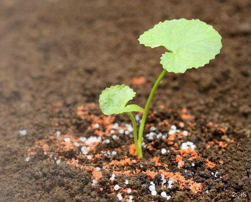 Отзывы на компанию Академия защиты растений в Саратове c фото