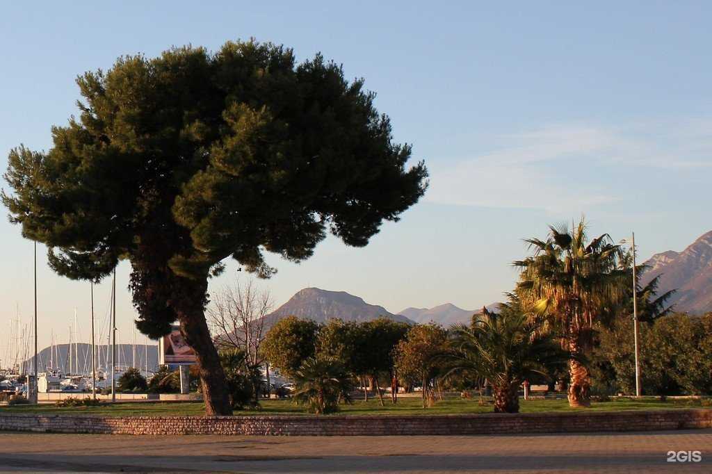 Отзывы на компанию БигТрансТур в Владимире c фото