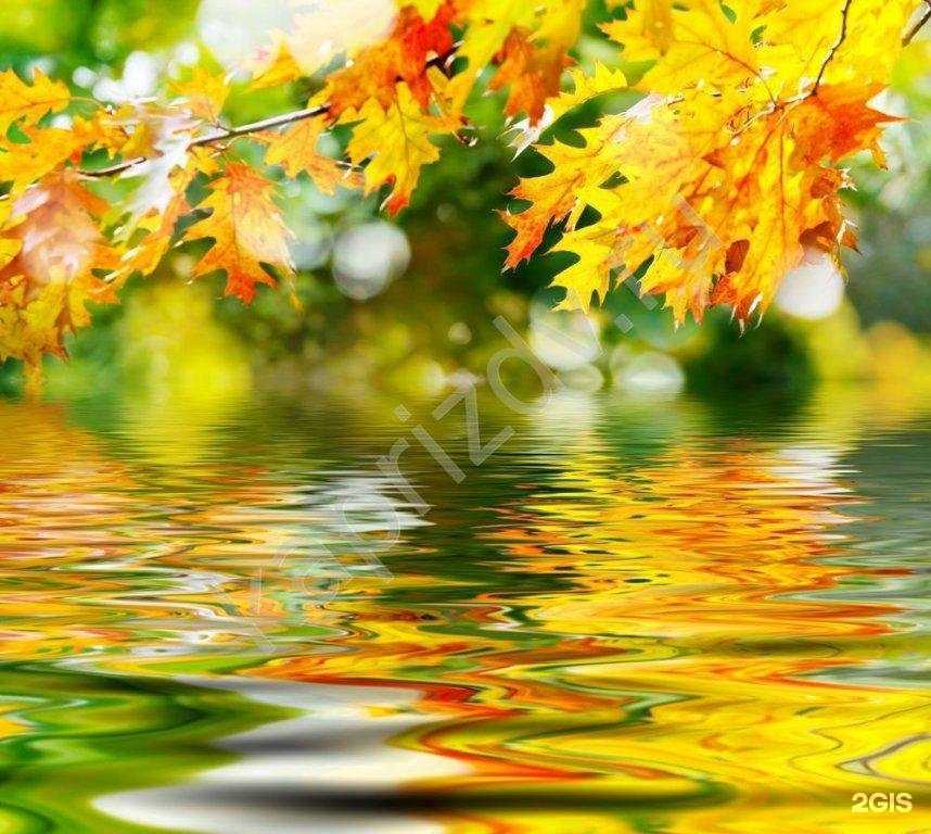 Отзывы на компанию Детский сад №89 в г. Иваново c фото