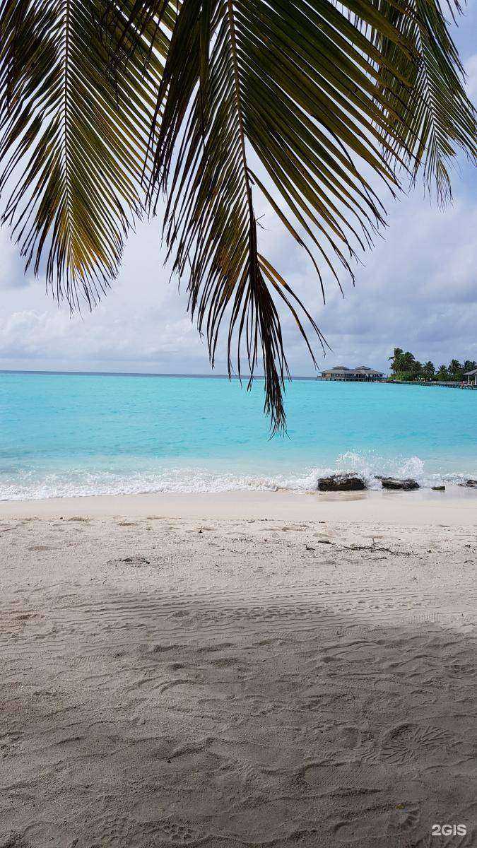 Отзывы на компанию Берег Мечты в Екатеринбурге c фото