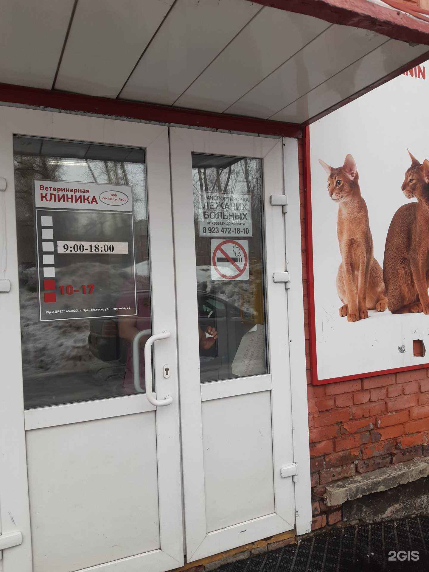 Отзывы на компанию Лео в г. Прокопьевск c фото