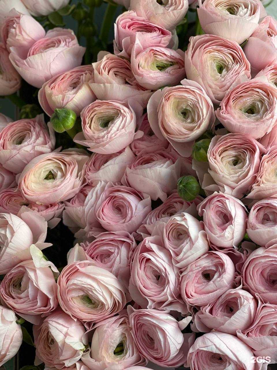 Отзывы на компанию Букетная в Энгельсе c фото