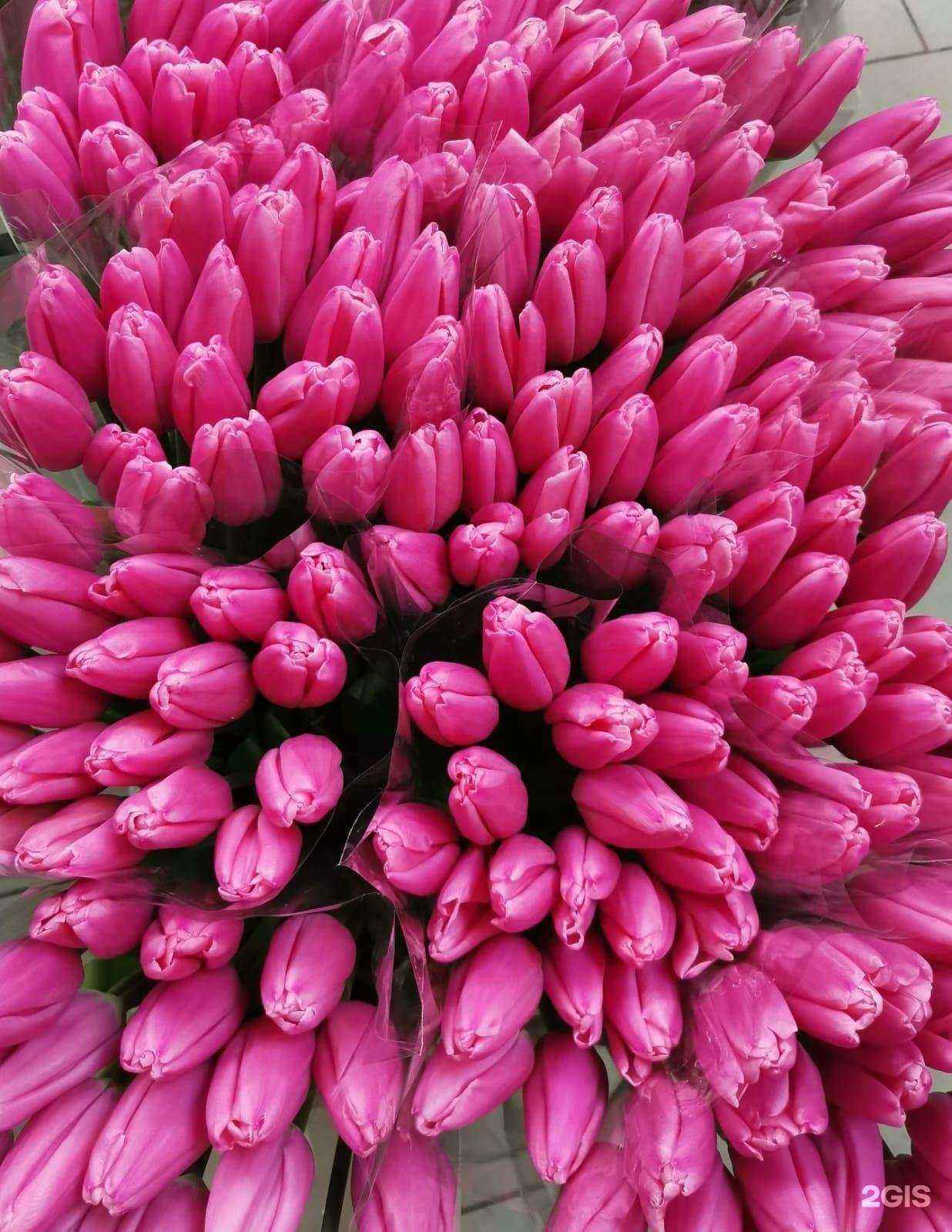 Отзывы на компанию Ассамблея Байкальских Цветов в Иркутске c фото