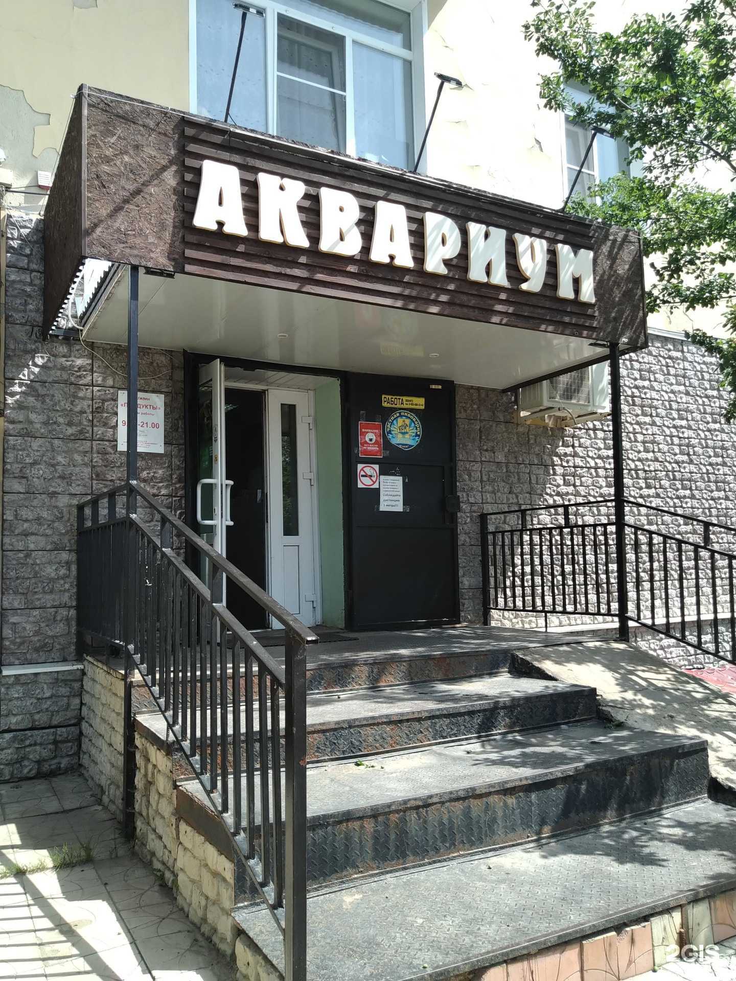 Отзывы на компанию Аквариум в Елеце c фото