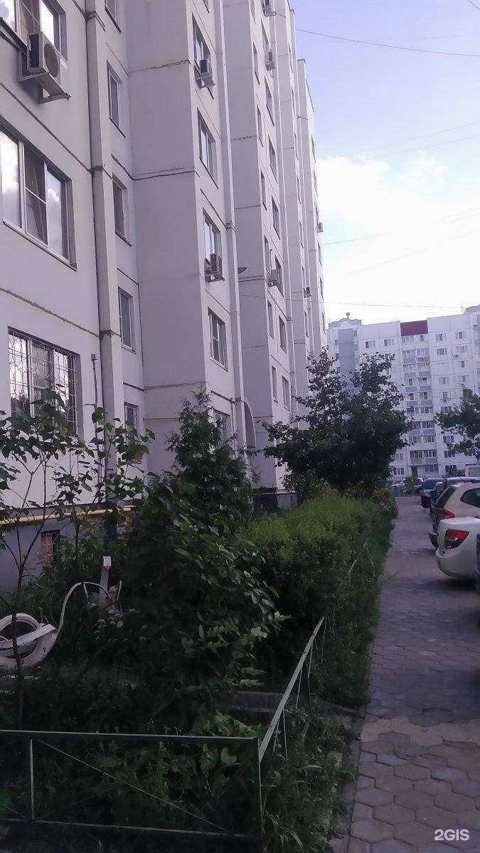 Отзывы на компанию Семь дней в Воронеже c фото - фотография 2 из 2