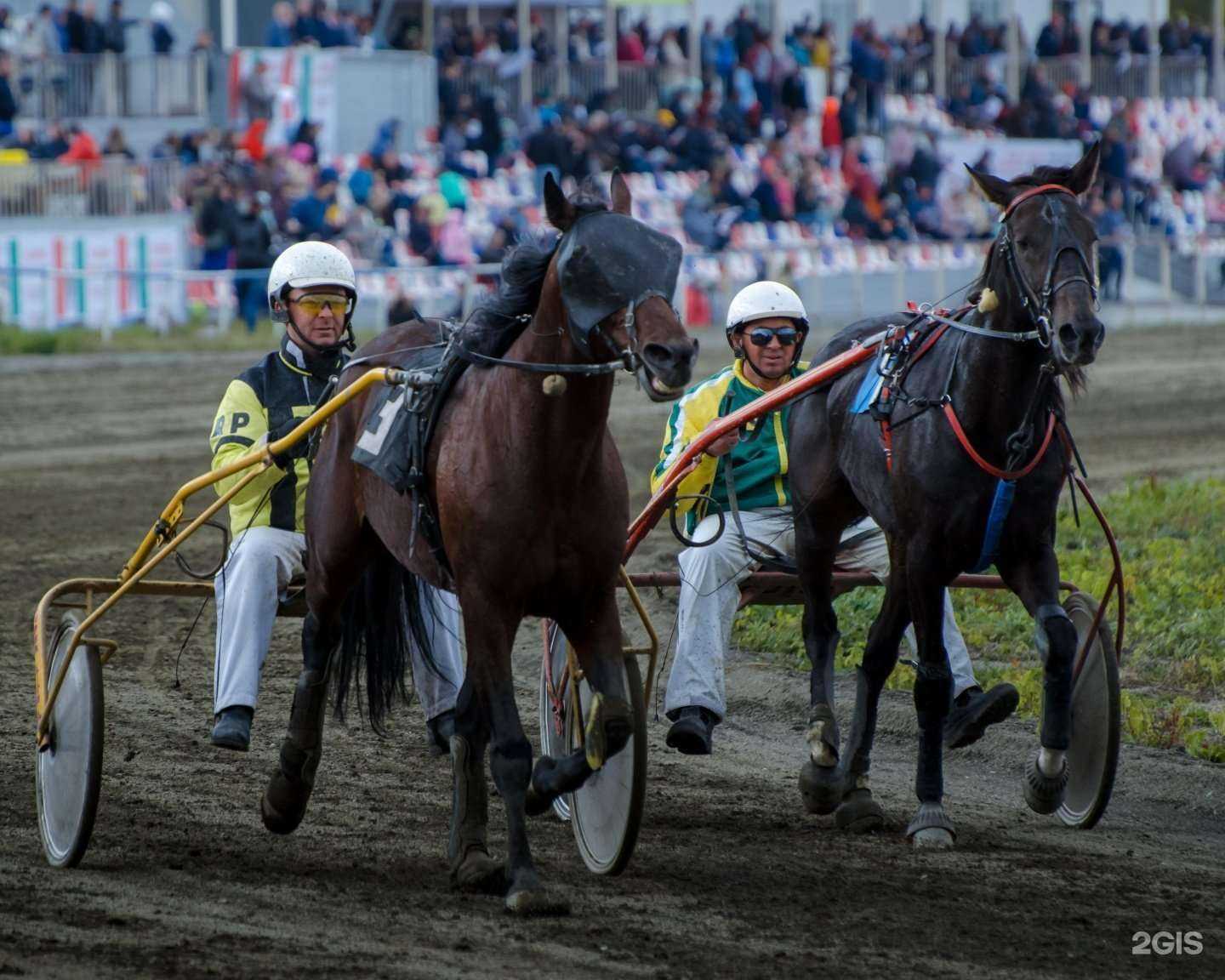 Отзывы на компанию Премьер Манеж в Новосибирске c фото - фотография 2 из 2