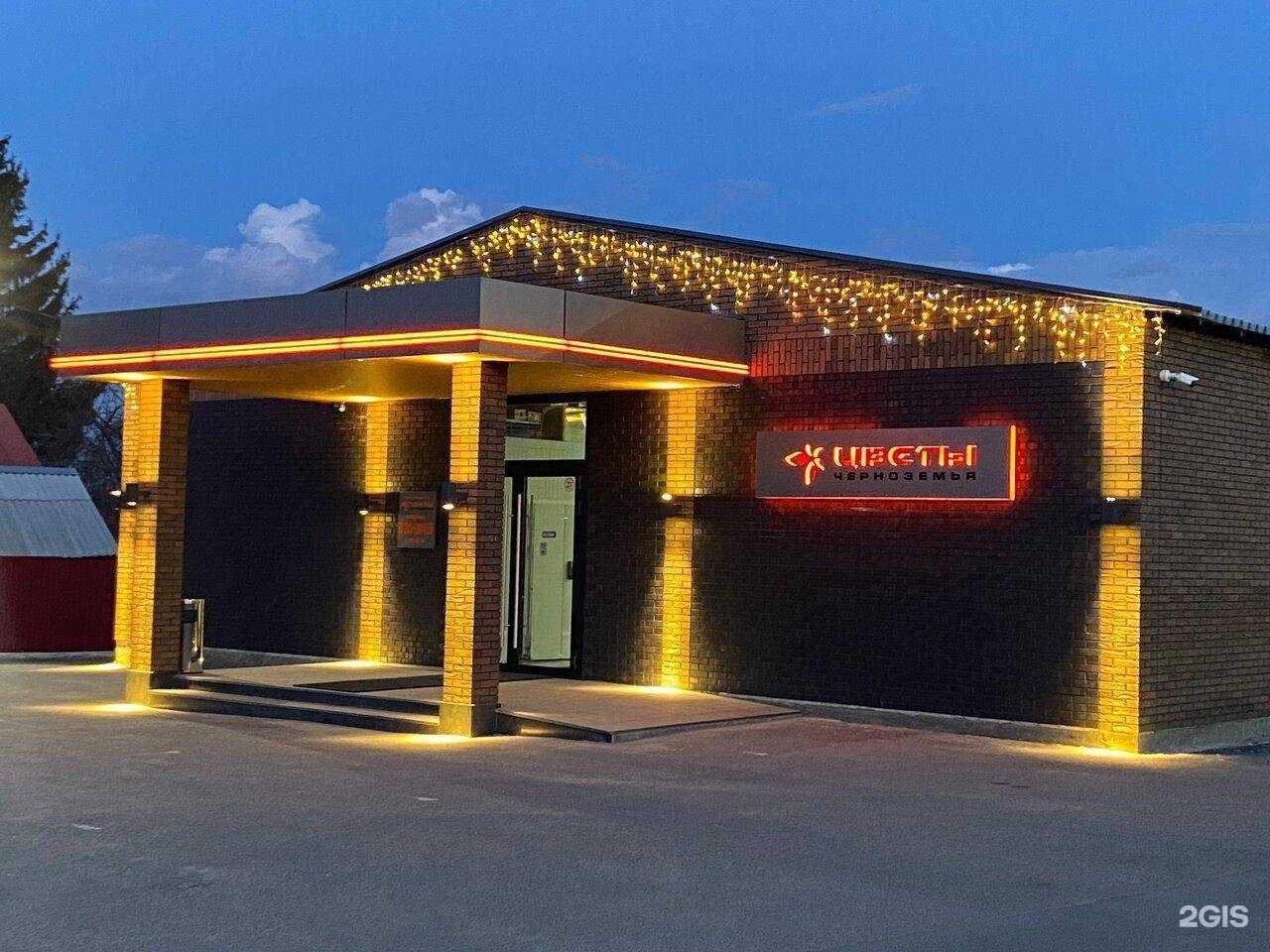 Отзывы на компанию Цветы Черноземья в г. Курск c фото