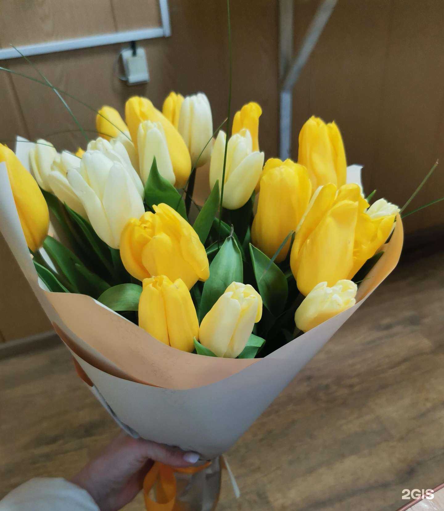 Отзывы на компанию Цветочный город в г. Кострома c фото