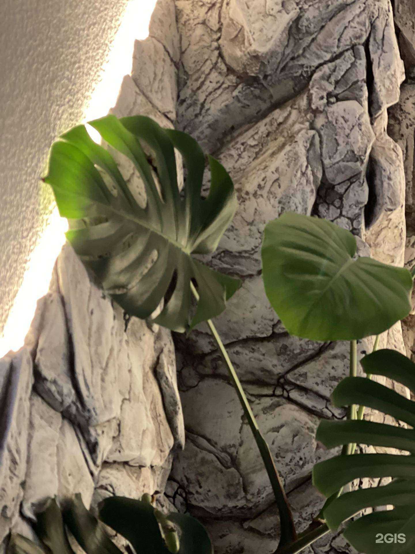 Отзывы на компанию Casual в г. Ноябрьск c фото