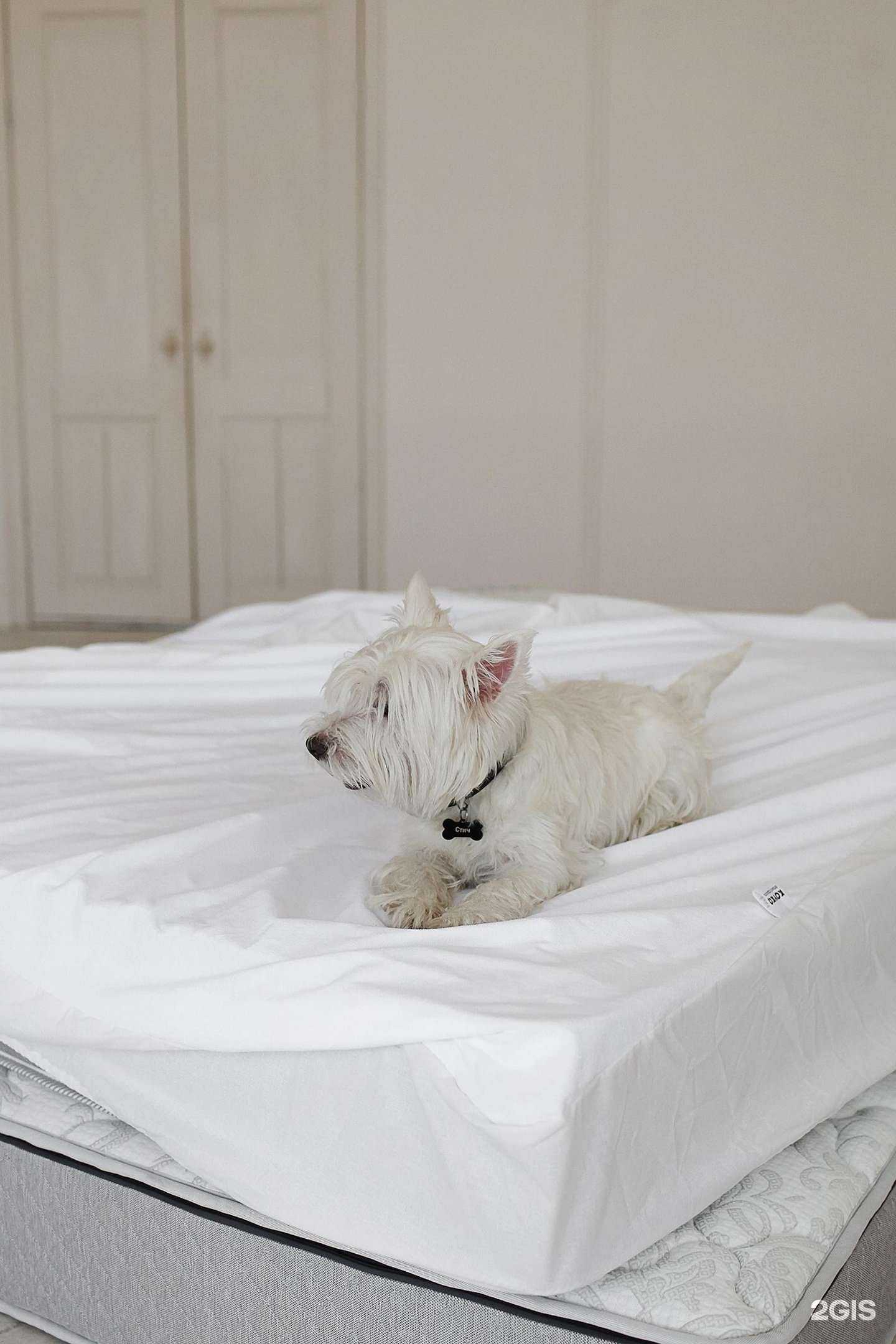 Отзывы на компанию Koyka в Новосибирске c фото