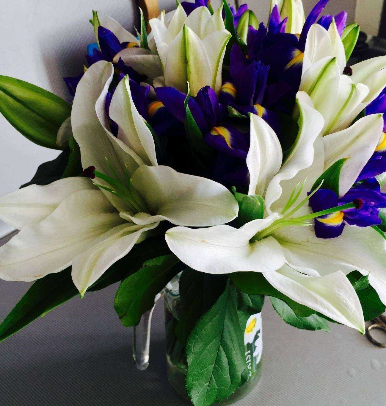 Отзывы на компанию Орхидея в г. Александров c фото