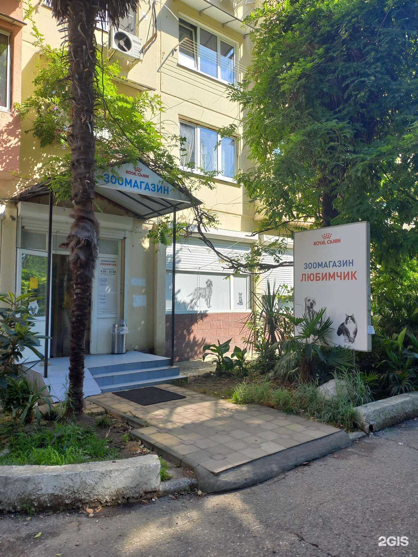 Отзывы на компанию Любимчик в Сочи c фото