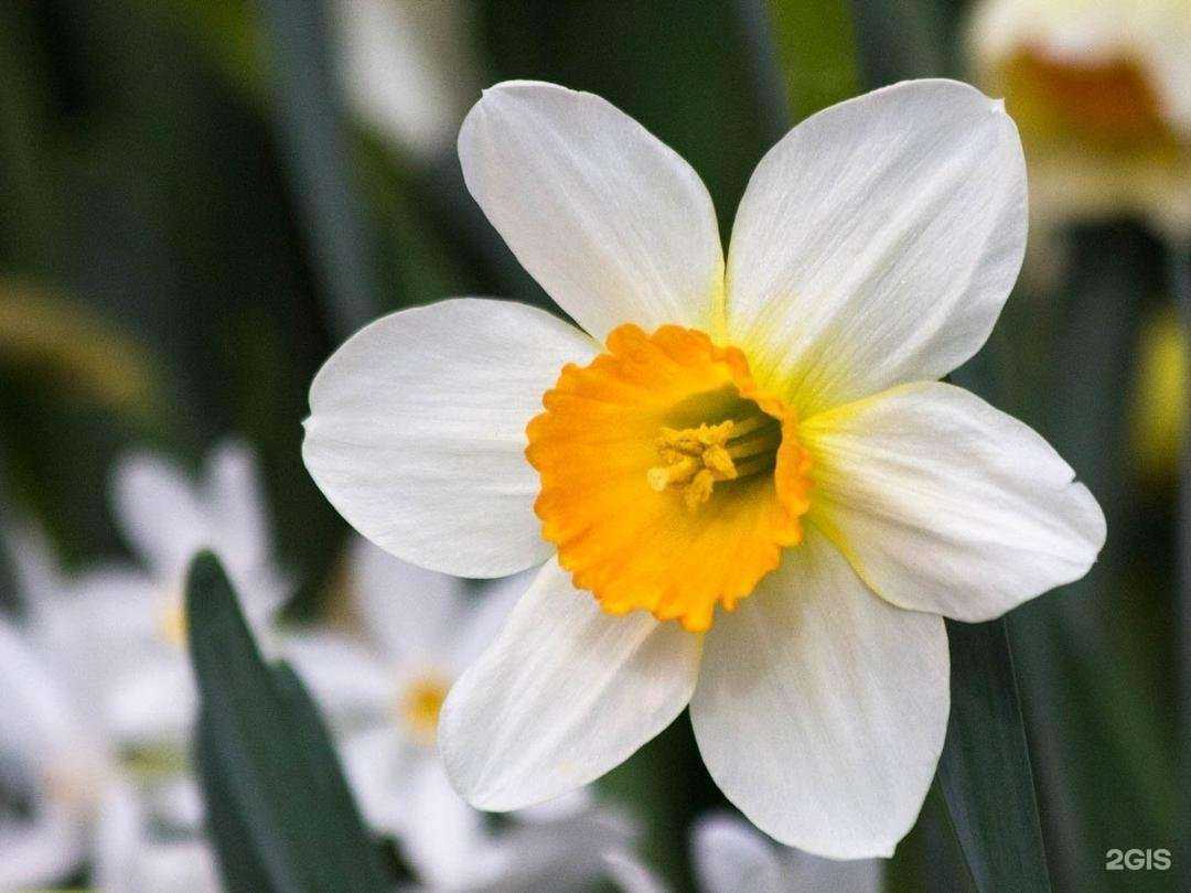 Отзывы на компанию Розалия в Ульяновске c фото