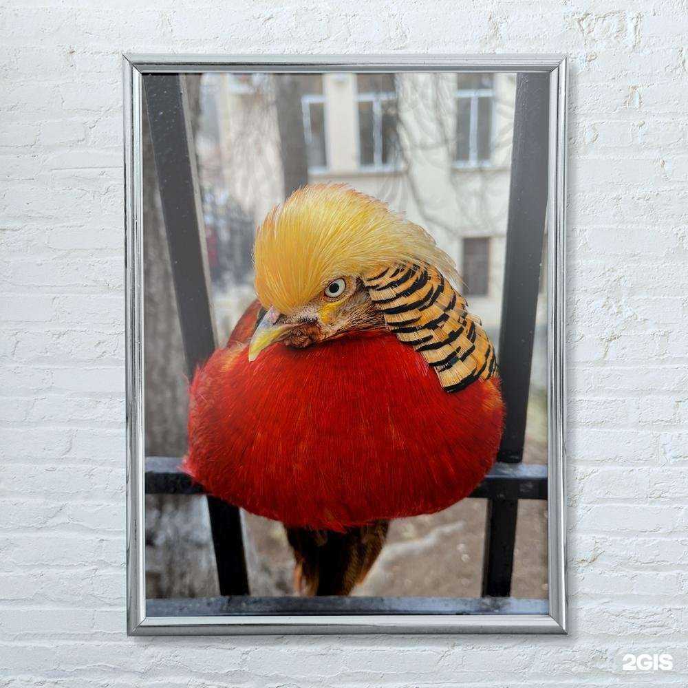 Отзывы на компанию Абсолют в г. Самара c фото