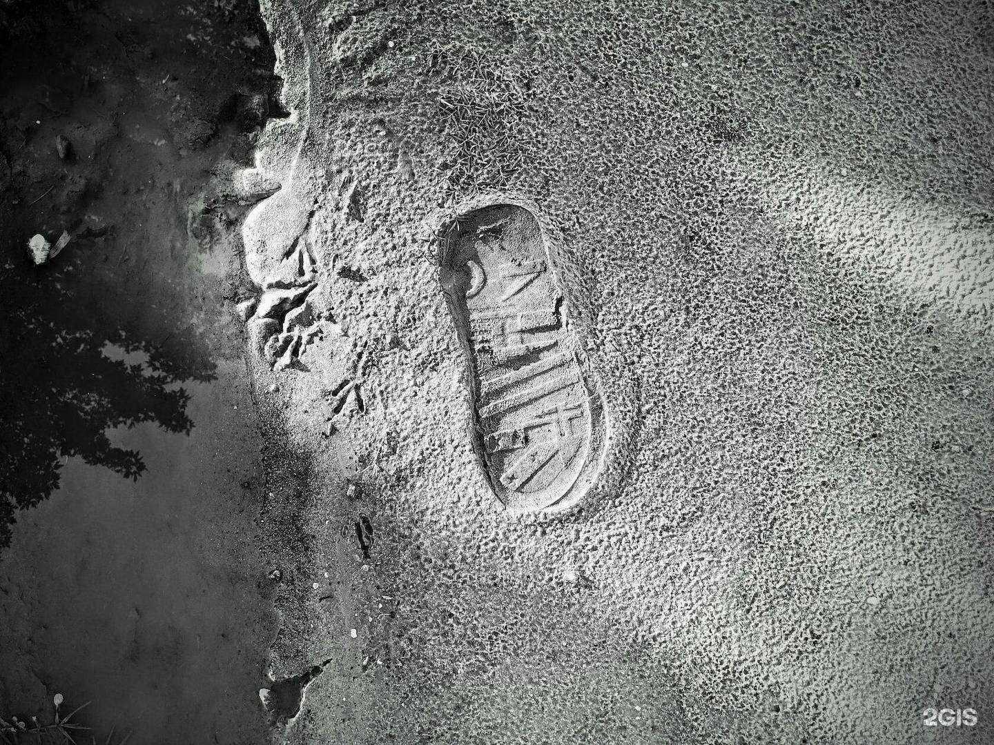 Отзывы на компанию Walrus в г. Зерноград c фото