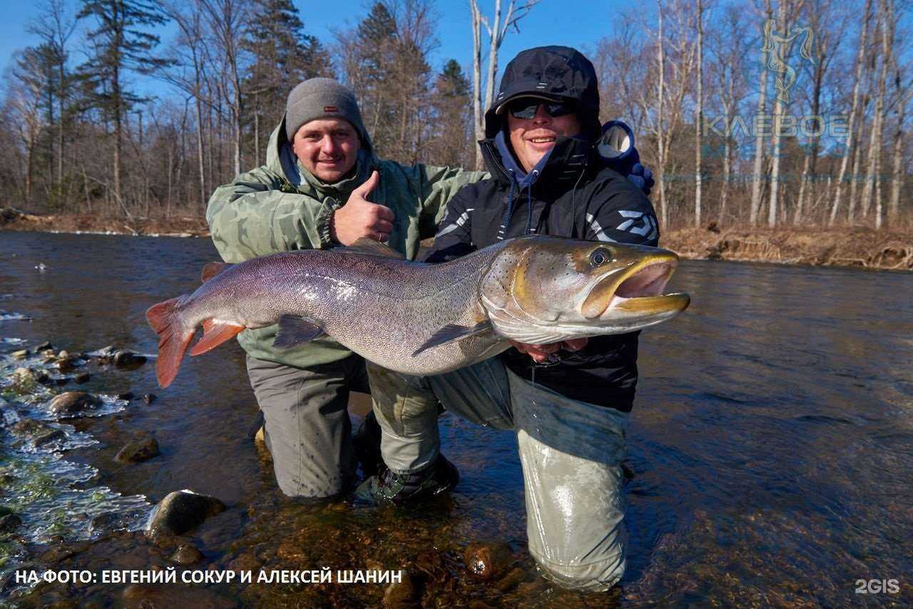 Отзывы на компанию Клёвое место в Владивостоке c фото