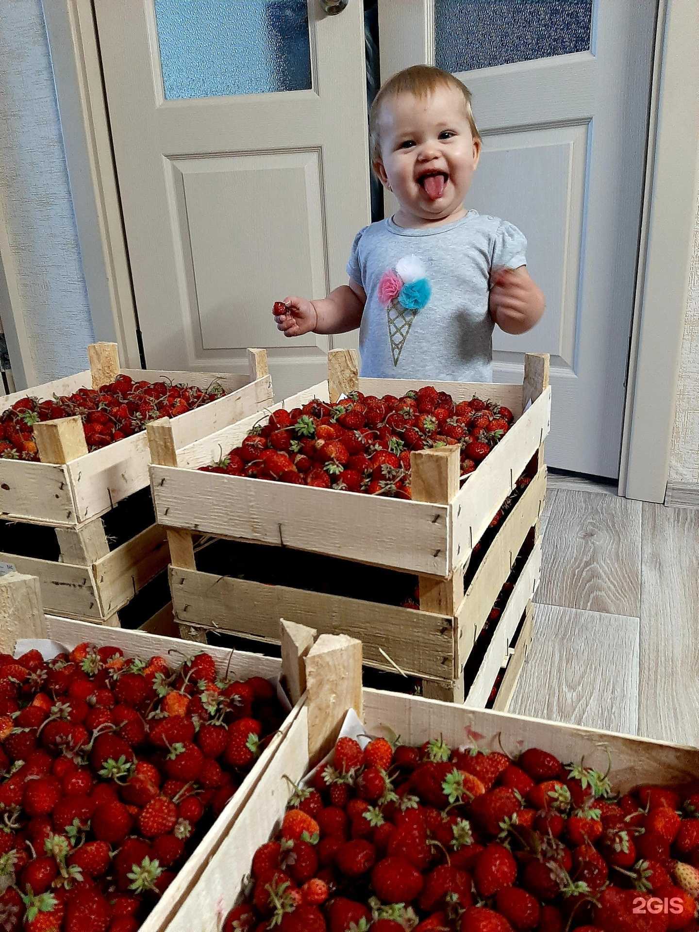 Отзывы на компанию Ferma в г. Томск c фото