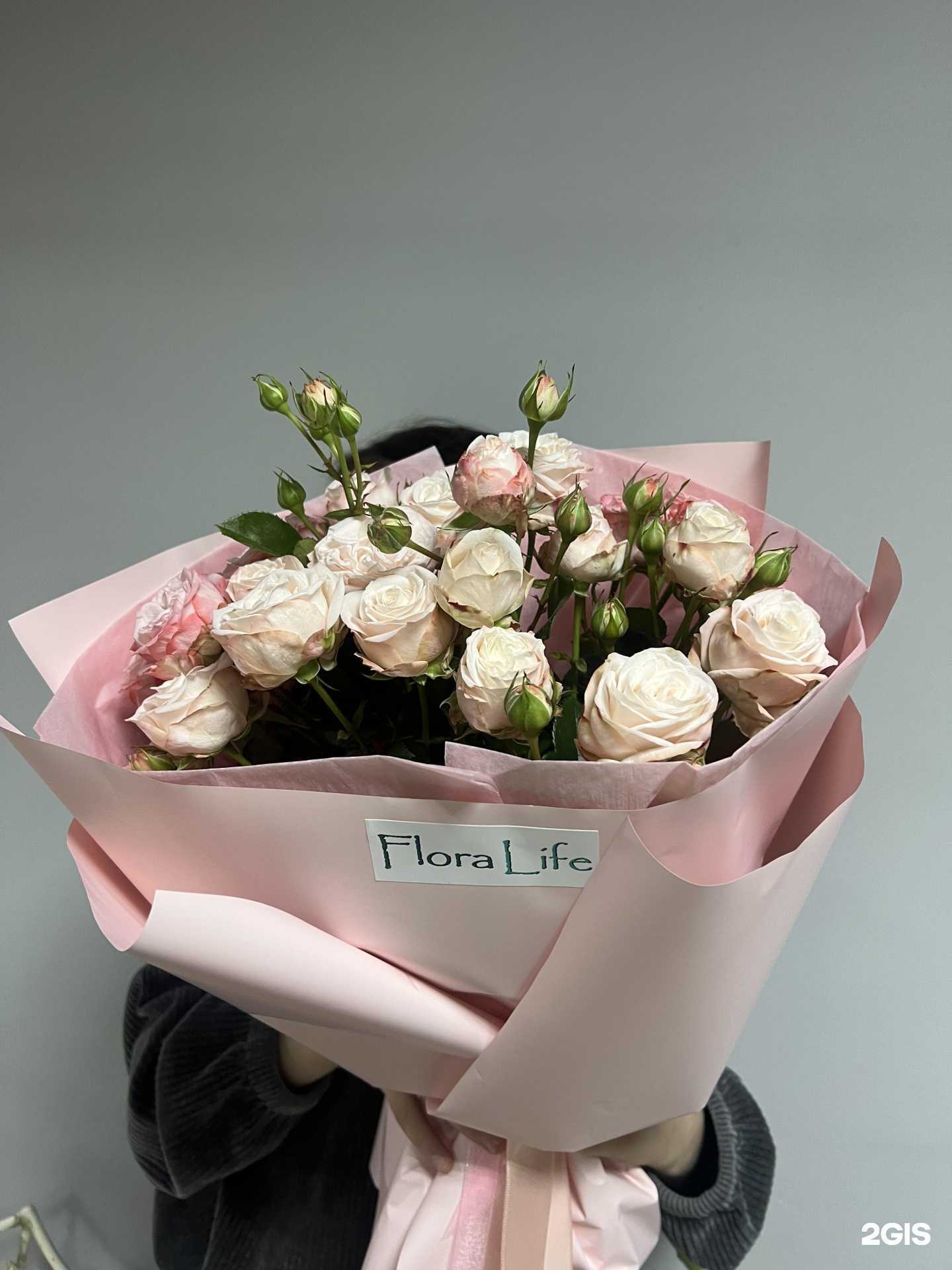 Отзывы на компанию Flora life 05 в г. Каспийск c фото