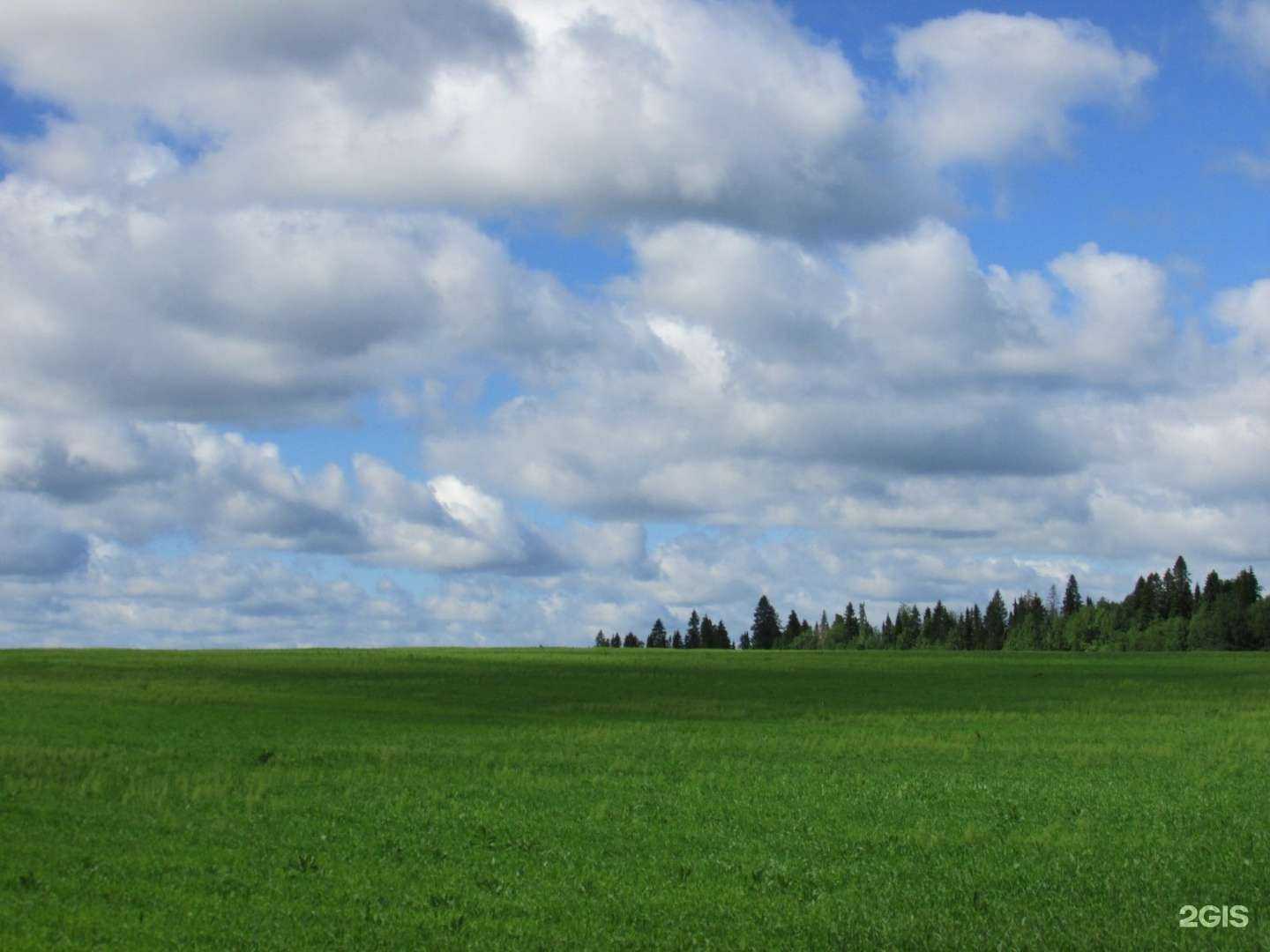 Отзывы на компанию Кадастровый инженер Авдеев Игорь Юрьевич в г. Пермь c фото