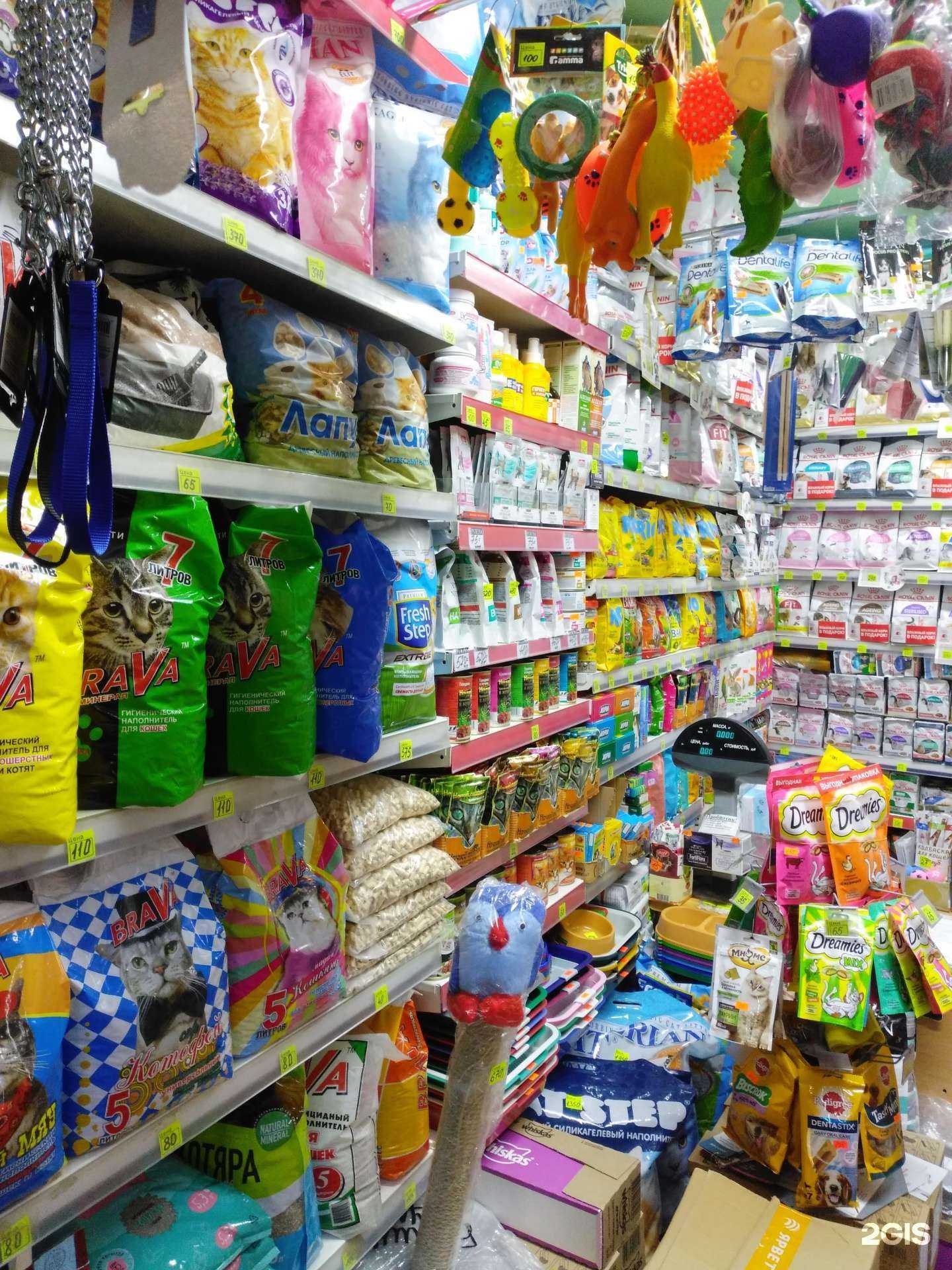 Отзывы на компанию Ваш питомец в Уфе c фото