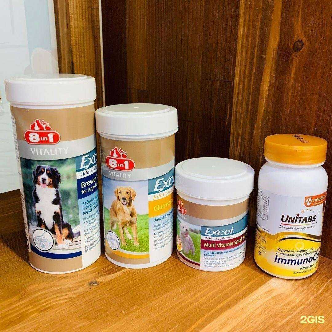 Отзывы на компанию Город ZOO в Томске c фото